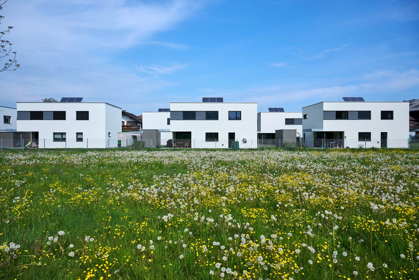 2024 03 12 15 07 53 wa efh rheinstr gaissau 09.jpg ‎ windows fotoanzeige