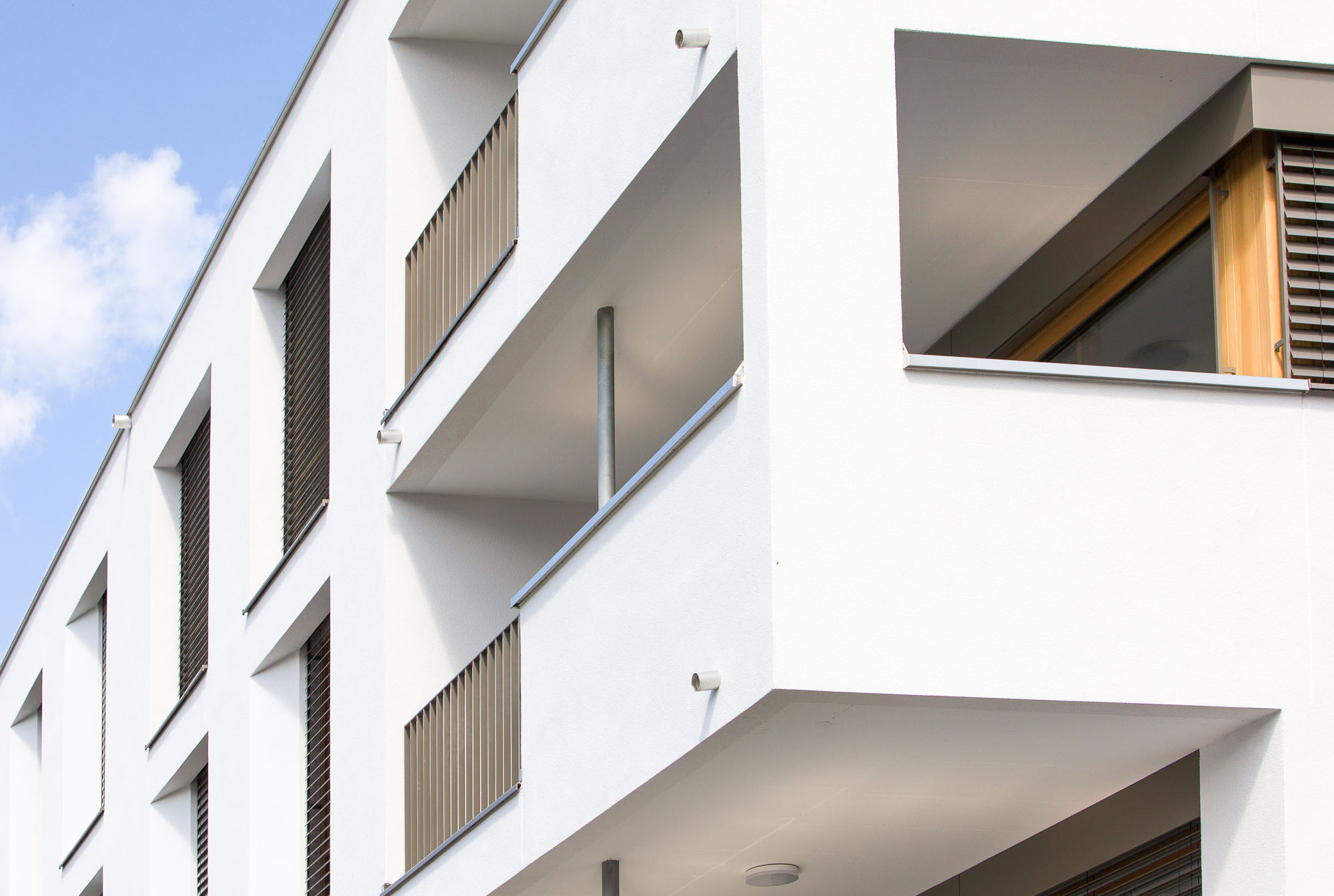 240801wa hasenfeld 51 crwalser 023